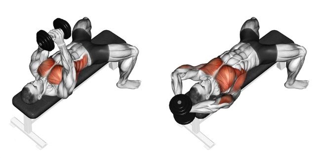 Упражнение полувер какие мышцы работают
